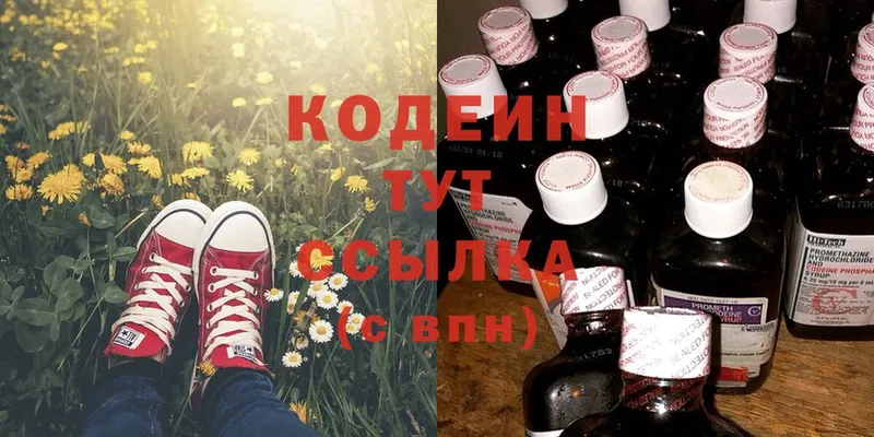 Кодеин Purple Drank  где продают   Кизел 